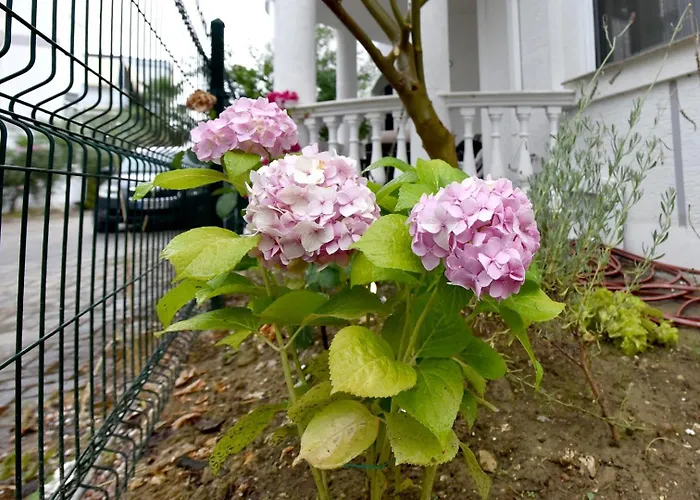 Serenity Appartement Golem (Tirana)